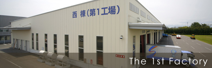 The 1st Factory